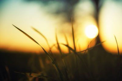 北京秦朝遺址參訪指南：深度探索帝國的磅礴氣勢完整指南