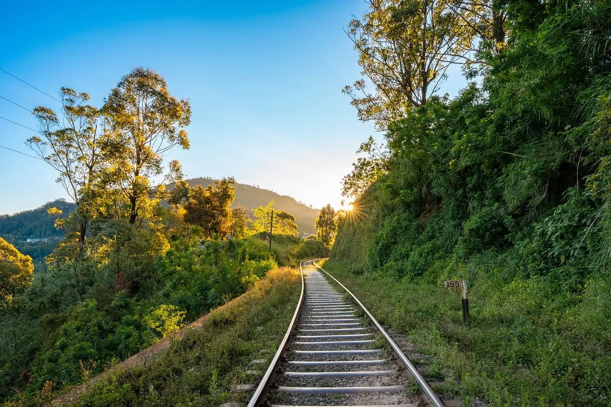railway track, sun, sunset, landscape, forest, nature, railway, path, railway route, railway curve, railroad line, railway setting, railway construction, railwa