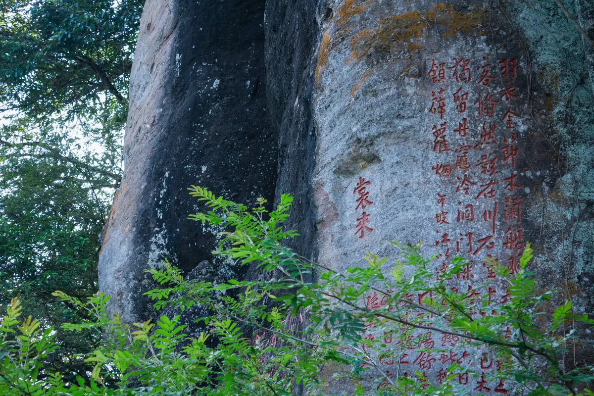 Close-up of ancient rock with inscriptions surrounded by lush greenery.
